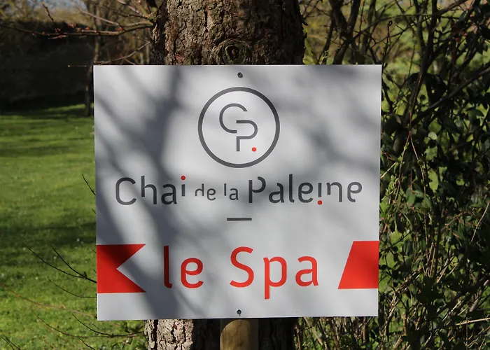 Logis Hôtel Chai De La Paleine&Spa